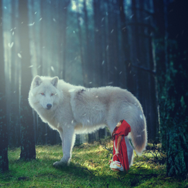 красная шапочка