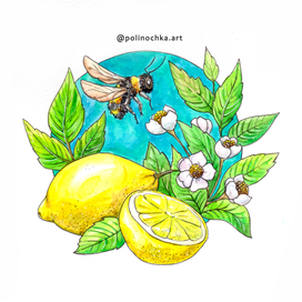 Фрукты и цветы