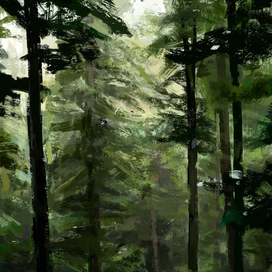 forest 