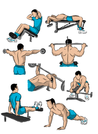 Спортсмены