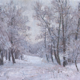 Мокрый снег