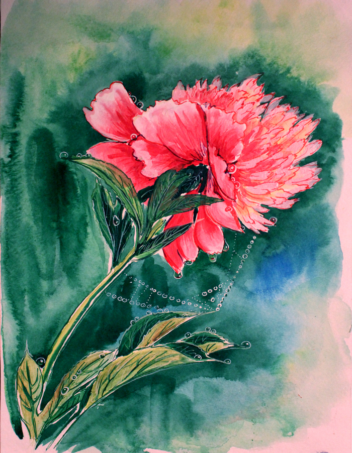 дачный пион