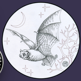 Гигантская вечерница. Серия "Красная Книга СССР"