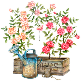 Розы мальчика и девочки