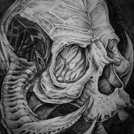 Скетч черепа