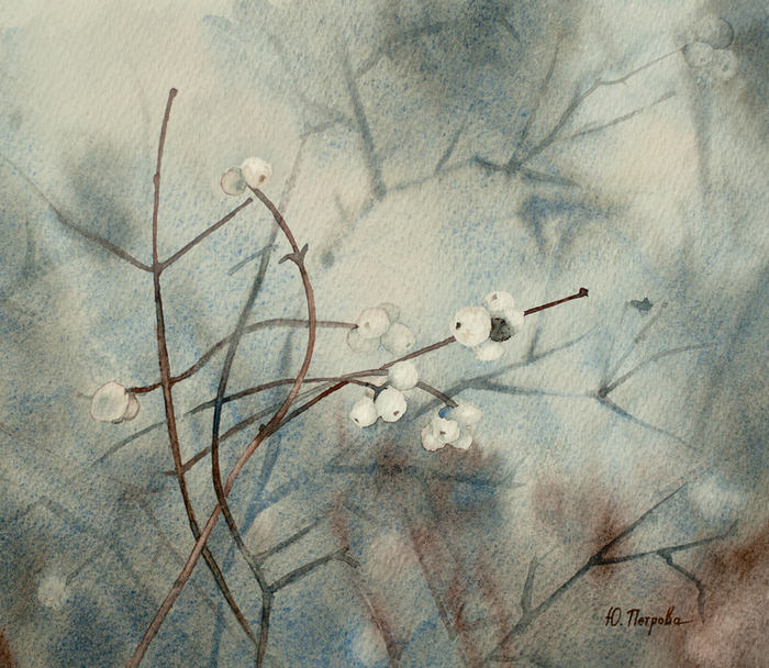 Снежноягодник