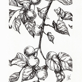 Яблочный триптих, лист2