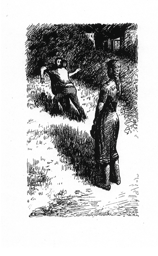 картинка к книге "Старая крепость"