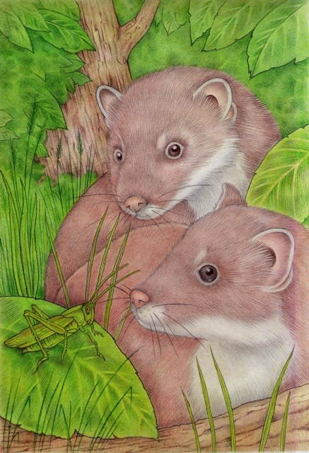 Зелёная штука