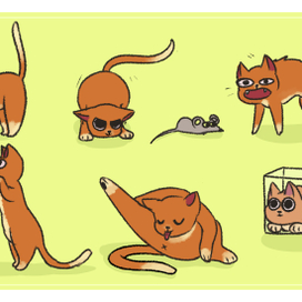 Милые питомцы!