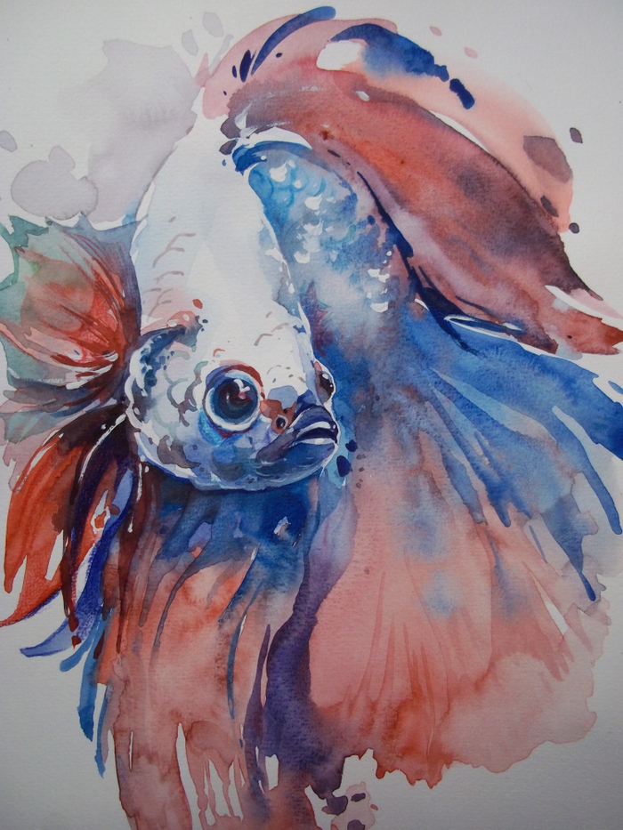 Петушок.Рыбуля))