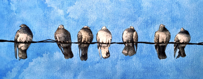 Голуби на проводе
