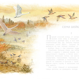 Серая Шейка. Птицы улетают