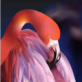 Розовый фламинго ( серия" Птицы")