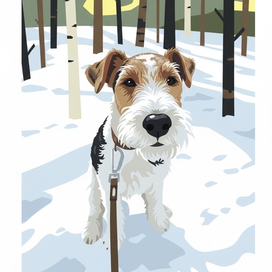 Раф на снегу