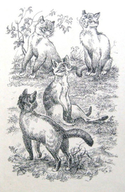 илл. к книге Н. Романовой "Дайте кошке слово"