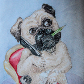 Без названия