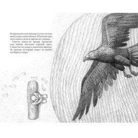 "Сказка про тролля холодного озера" автор Елена Павличенко, художник Кочеткова Елена