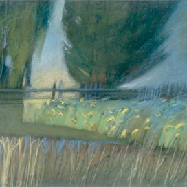 Поздние подсолнухи.