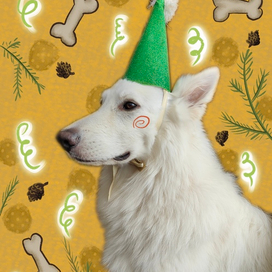 Праздничный пёс 