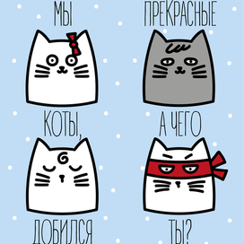 Мы прекрасные коты