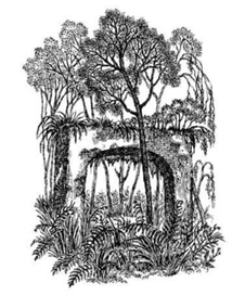 А. ФЕТ. стихотворения.