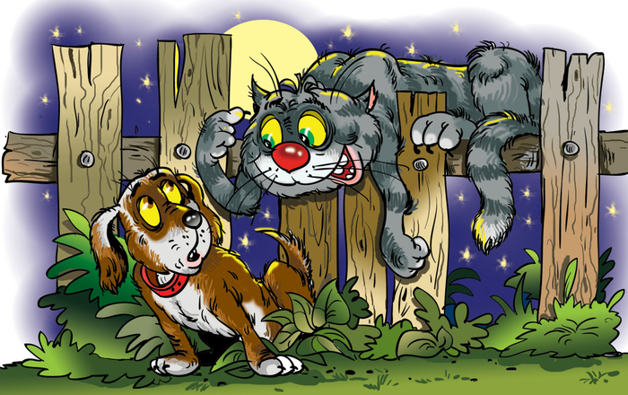 Ловец звезд