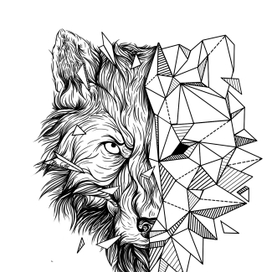 ЗвероГеометрия