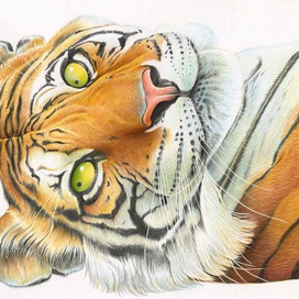 Календарь. Июнь