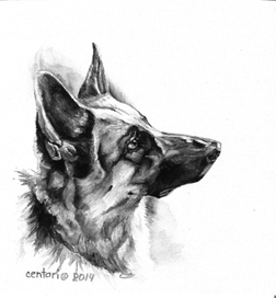 А сыр будет?