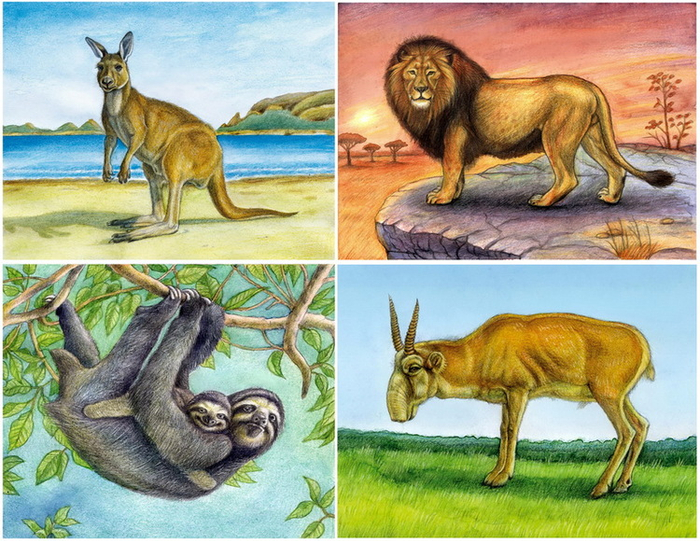  "И все они - создания природы".