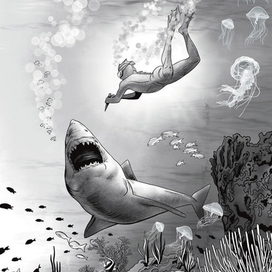 Бой с акулой