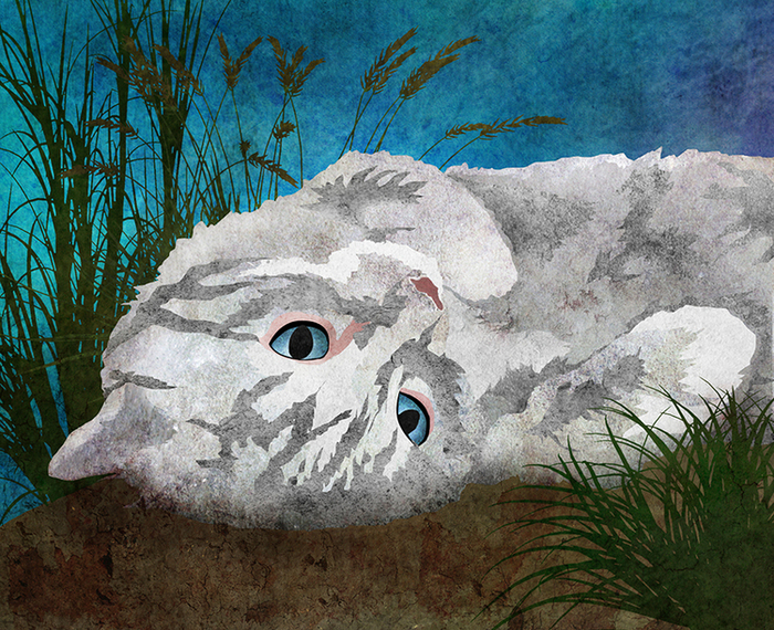 безмятежность