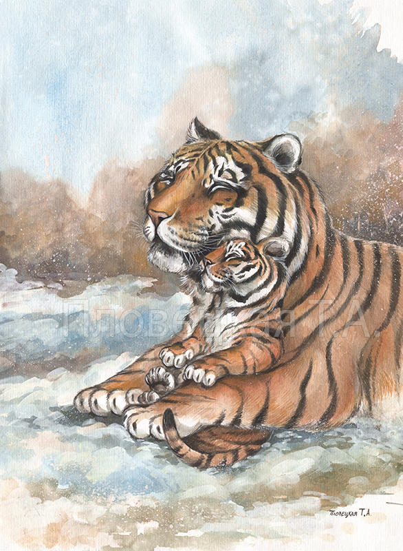 Тигрица и тигренок