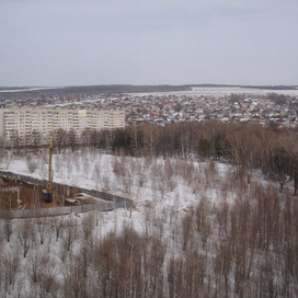 Ноксинский Лес Восток