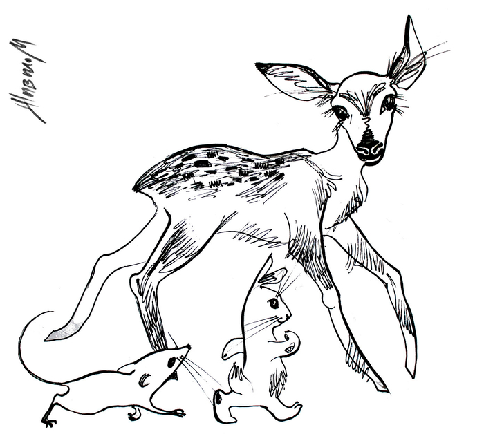 Иллюстрации-вставки для книги Сказок. 