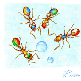 Муравьи для ученых