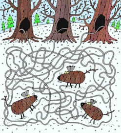 Шишки-мышки