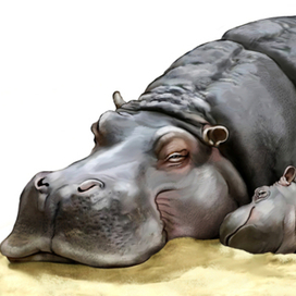 Иллюстрация для книги Брема «Жизнь животных» «Бегеоты»