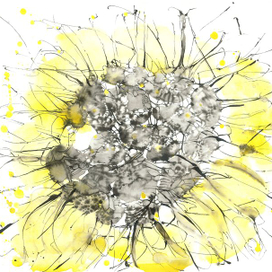 Подсолнух (когда в апреле очень холодно)