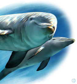 Иллюстрация для книги Брема «Жизнь животных» «Дульфины»
