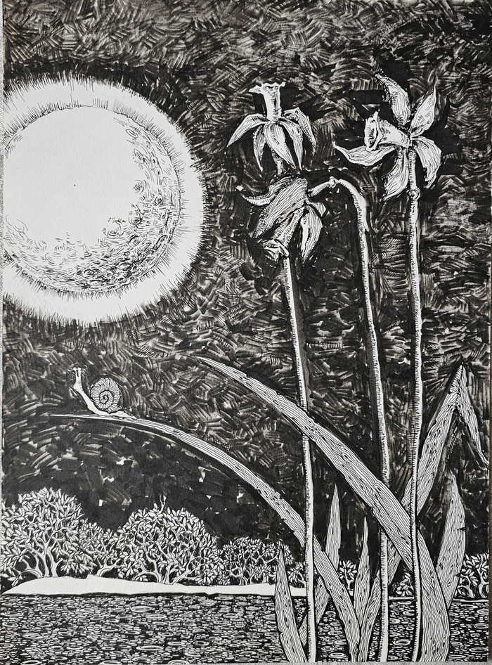 Ночные пейзажи