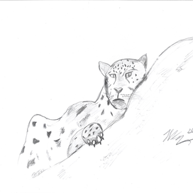 Ягуар на дереве