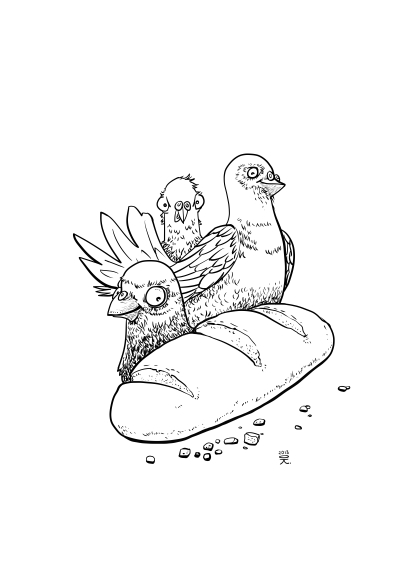 голуби и батон