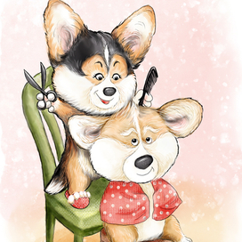 Корги парикмахер