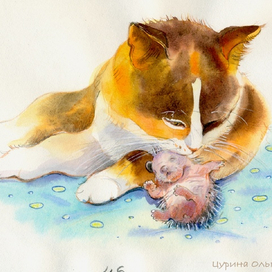 Тоська обнюхивает нового ежонка