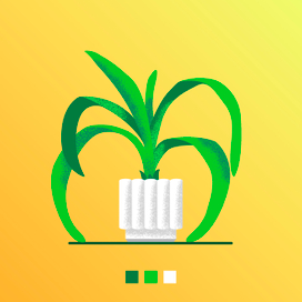 Цветок Амараллис