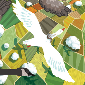 "Чудесное путешествие Нильса с дикими гусями"