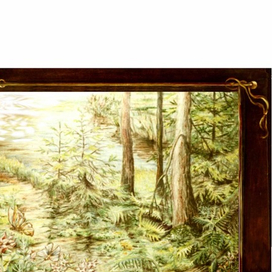 Солнце в лесу.