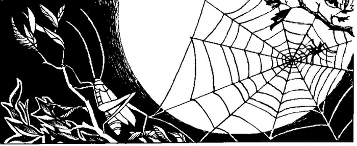 Cайге "Времена года"